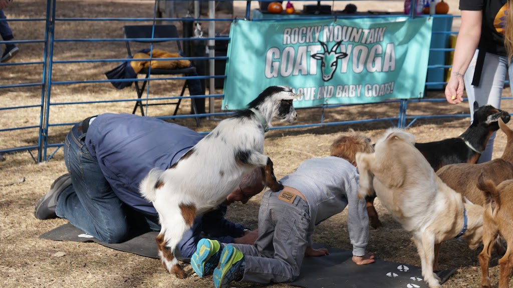 Rocky Mountain Goat Yoga, LLC | 6033 Uno St, Arvada, CO 80003, USA | Phone: (720) 273-1317