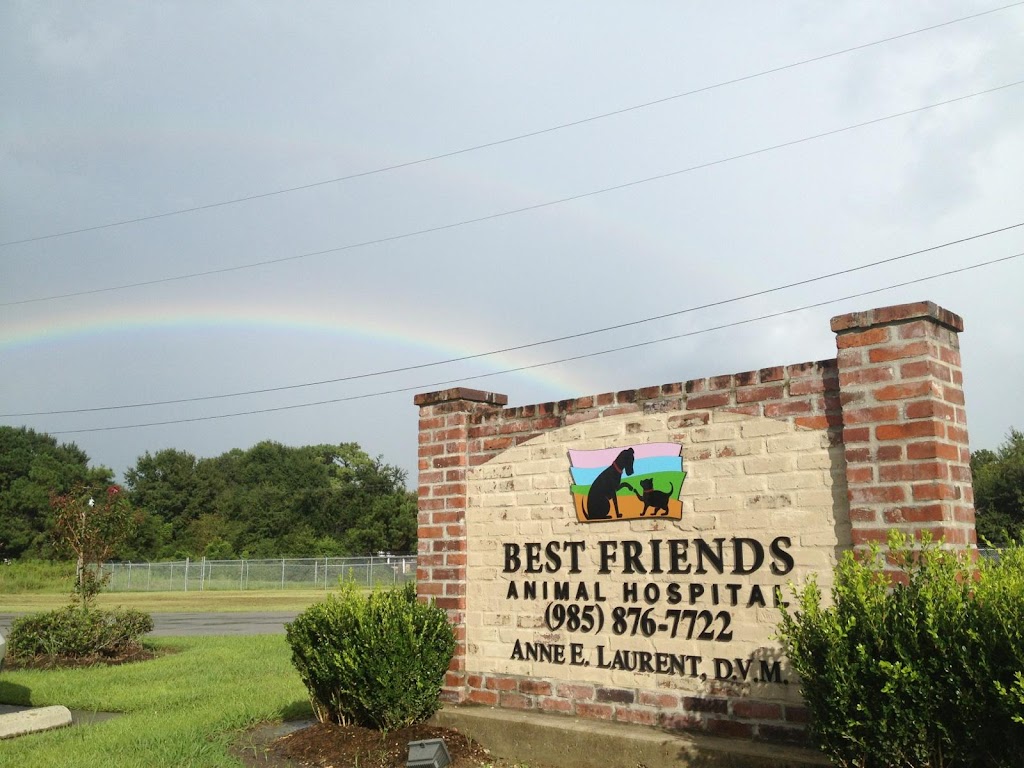 Best Friends Animal Hospital | 2118 Coteau Rd, Houma, LA 70364, USA | Phone: (985) 876-7722