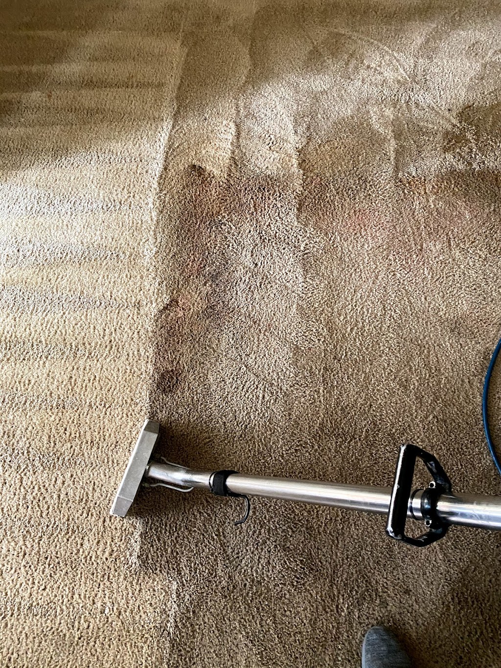 Ultra Steam Carpet Cleaning | 3607 Dumbarton St, Concord, CA 94519, USA | Phone: (925) 230-3555