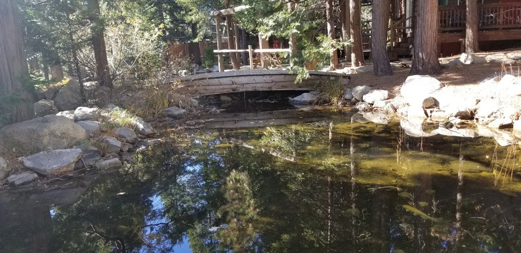 Arrowhead Property Rentals | 28200 CA-189, Lake Arrowhead, CA 92352, USA | Phone: (909) 337-2403