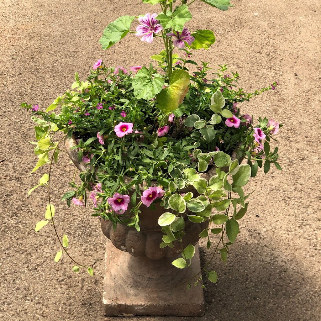 Beesons Nursery | 1300 Half Day Rd, Deerfield, IL 60015, USA | Phone: (847) 945-0520