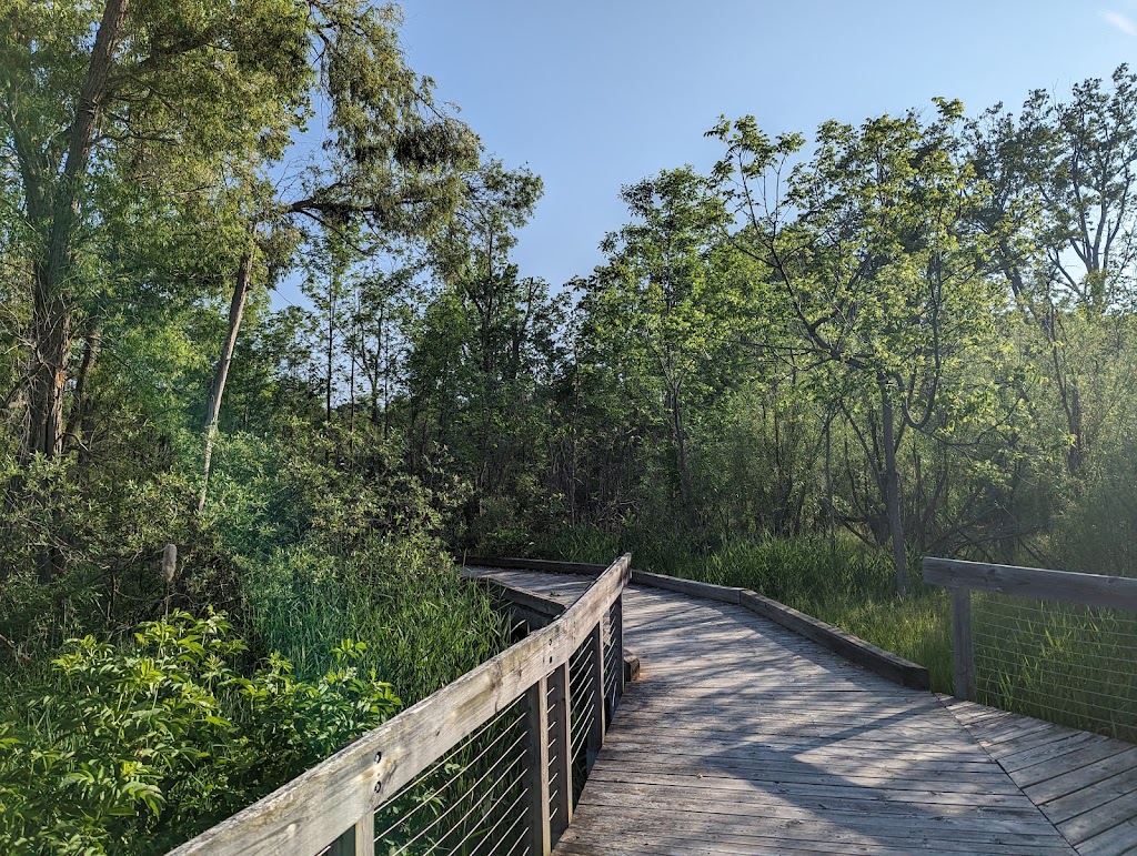 Clark & Avis Spike Preserve | 18700 Grass Lake Rd, Manchester, MI 48158, USA | Phone: (734) 971-6337