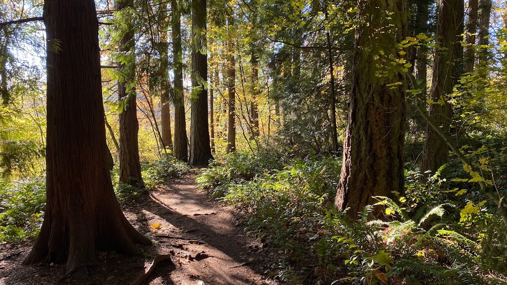 Tualatin Hills Nature Park | 15655 SW Millikan Way, Beaverton, OR 97006, USA | Phone: (503) 645-6433