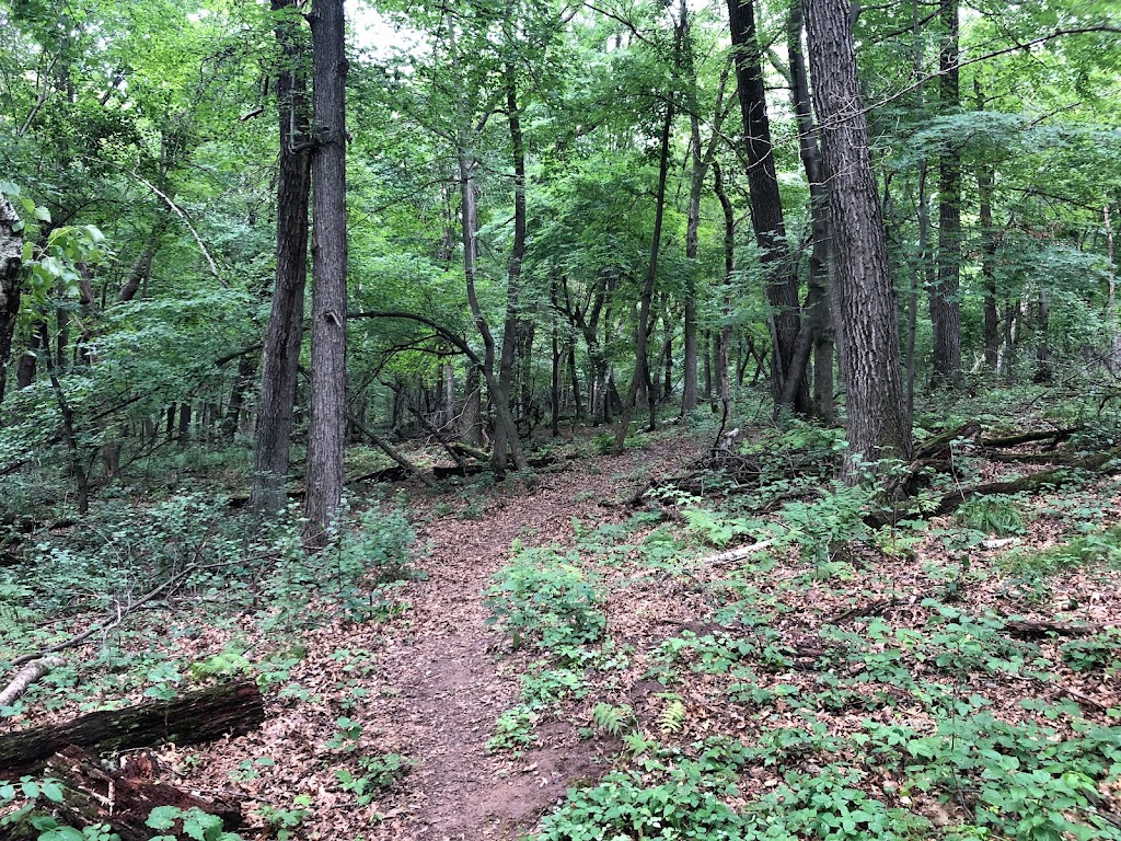 Carpenter Nature Center: Wisconsin Campus | Troy, WI 54016 | Phone: (651) 437-4359