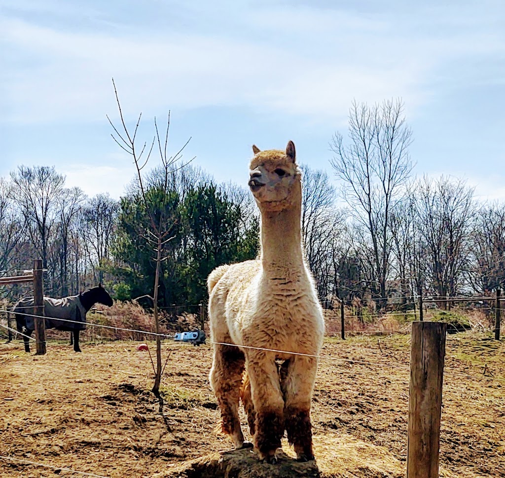 Anthony Petitti Organic Greenhouse | 5828 Columbus Rd NE, Louisville, OH 44641, USA | Phone: (330) 455-5997