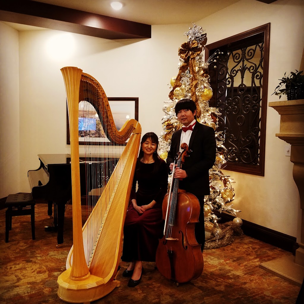 Romantic Cello | 24291 Andrea St, Laguna Hills, CA 92656, USA | Phone: (949) 293-5325