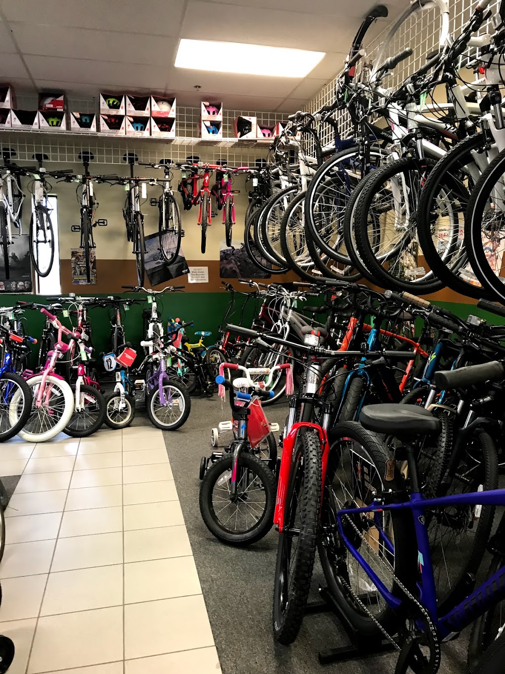 CARS Bike Shop | 2661 County Rd I, Mounds View, MN 55112 | Phone: (763) 784-6966