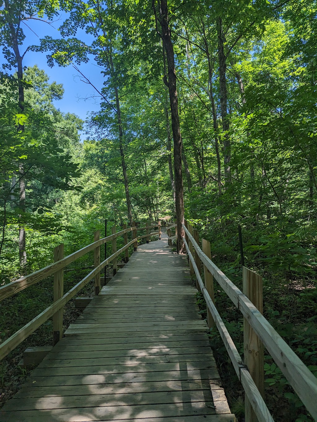 Nerstrand Big Woods State Park | 9700 170th St E, Nerstrand, MN 55053, USA | Phone: (507) 384-6140