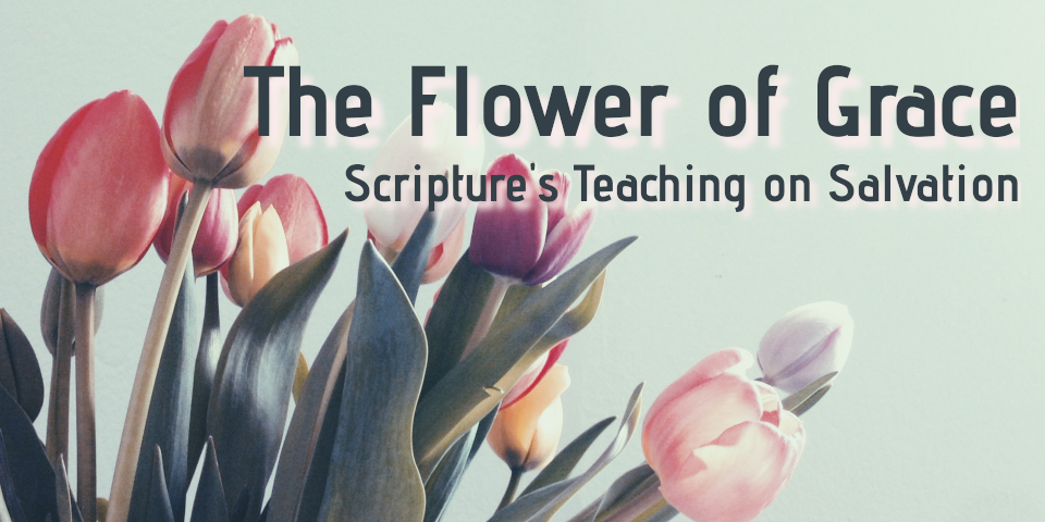 Providence Presbyterian Church | 639 Putnam St, Fort Wayne, IN 46808, USA | Phone: (260) 229-8975 Providence Presbyterian Church | 639 Putnam St, Fort Wayne, IN 46808, USA | Phone: (260) 229-8975