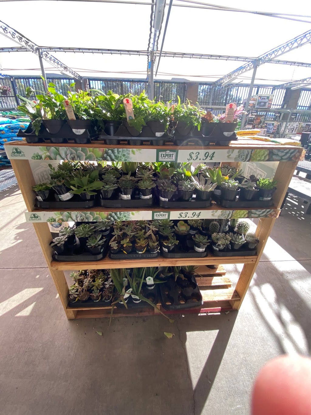 Walmart Garden Center | 479 N McKinley St, Corona, CA 92879, USA | Phone: (951) 270-0707