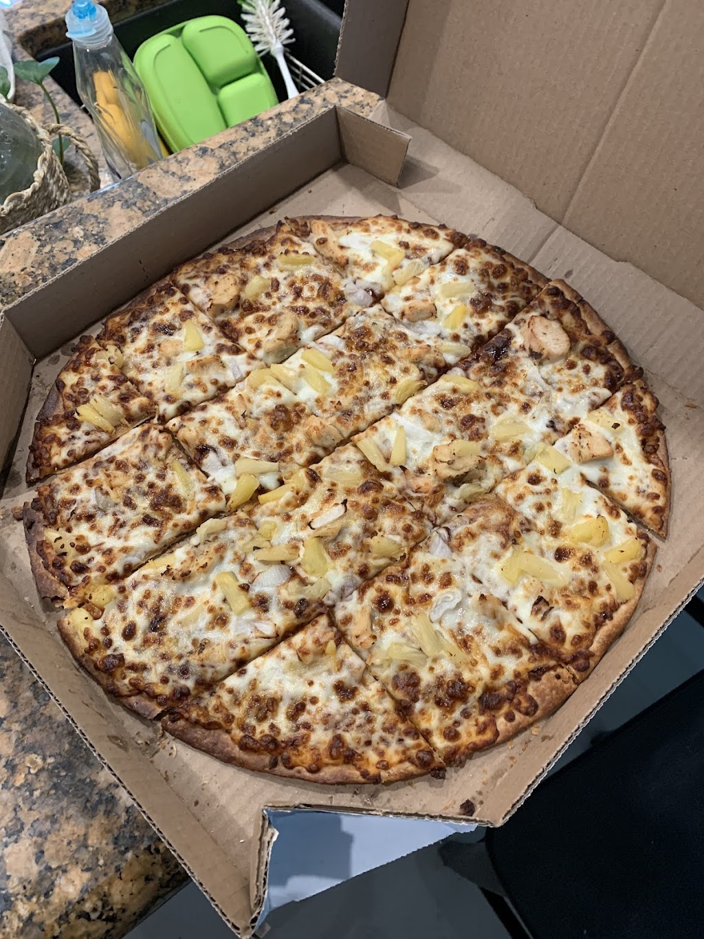 Dominos Pizza | 8576 Gunn Hwy, Odessa, FL 33556, USA | Phone: (813) 510-3970
