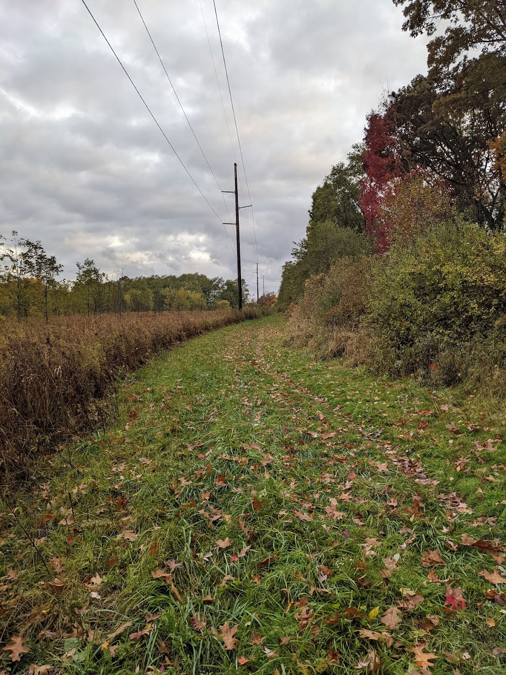 Silver Creek Metro Park Archery Range | 196 Eastern Rd, Doylestown, OH 44230, USA | Phone: (330) 867-5511