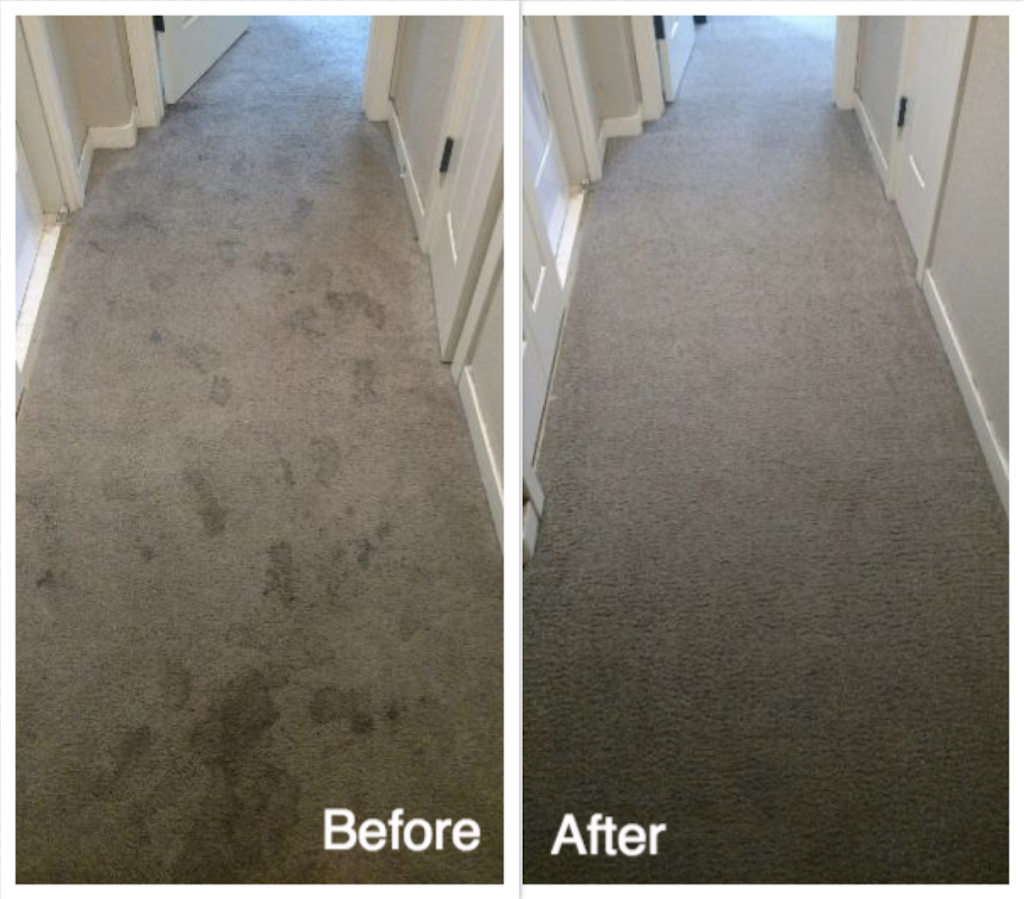 A Step Above Carpet Cleaning | 7405 Greenback Ln #220, Citrus Heights, CA 95610, USA | Phone: (916) 735-3182