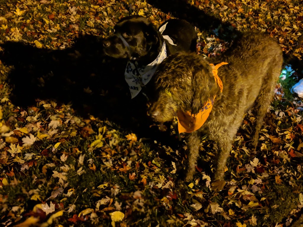 Quail Hollow Country Club | 11295 Quail Hollow Dr, Concord Township, OH 44077, USA | Phone: (440) 639-3800 Quail Hollow Country Club | 11295 Quail Hollow Dr, Concord Township, OH 44077, USA | Phone: (440) 639-3800