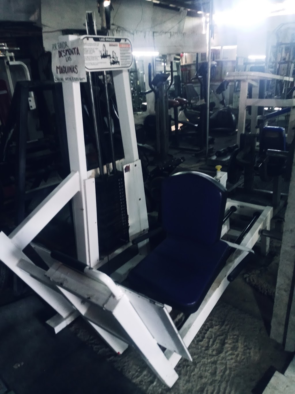 Edzu GYM & Fitness | 22330 Tijuana, Baja California, Mexico | Phone: 664 367 4559