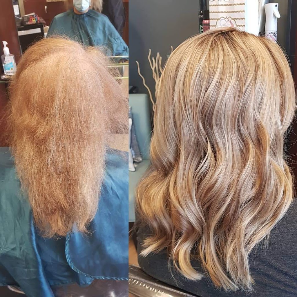 Hair By Jill Crowe | 29605 US Hwy 19 N Suite 340, Clearwater, FL 33761, USA | Phone: (813) 447-6917