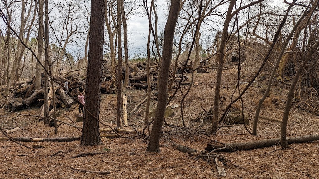 Carolina North Forest Trail System Parking Lot | Chapel Hill, NC 27516, USA | Phone: (919) 883-8930