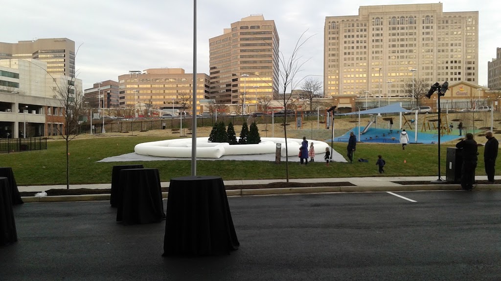 The Pearl | 180 High Park Ln, Silver Spring, MD 20910, USA | Phone: (301) 587-3275