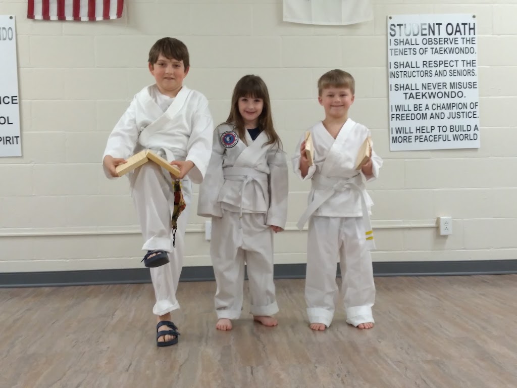 Fairview Taekwondo | 2714 Fairview Blvd, Fairview, TN 37062, USA | Phone: (615) 799-9331