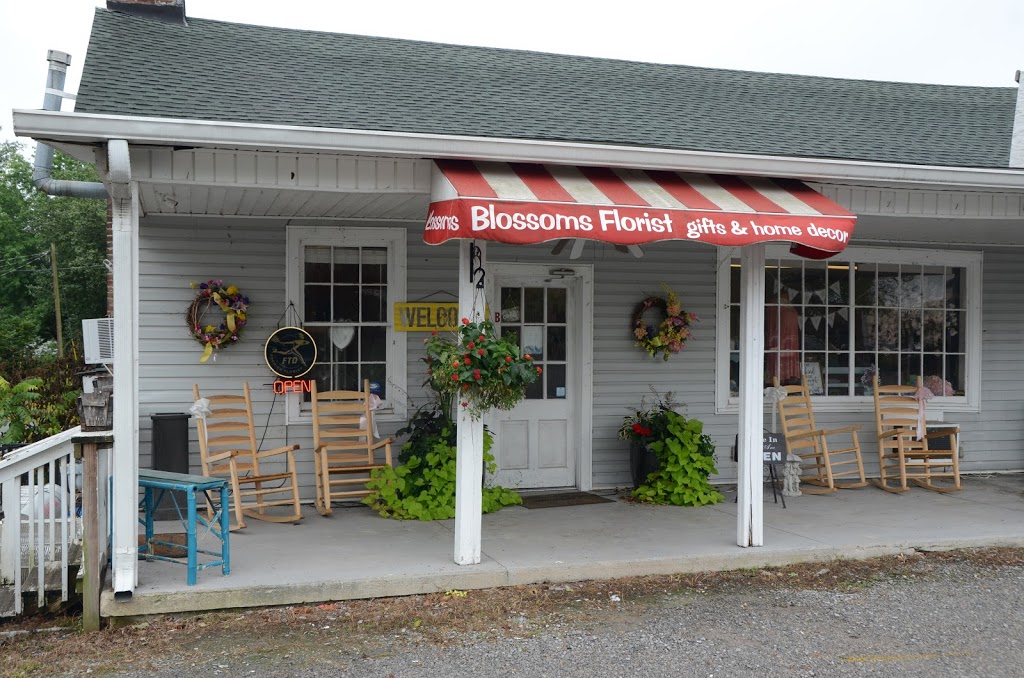 Blossoms Florist, Gifts, and Home Decor | 6307B US-41 ALT, Pleasant View, TN 37146, USA | Phone: (615) 247-8594