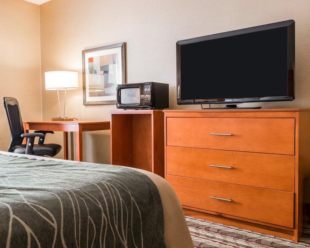 Comfort Inn Metro Airport | 31800 Wick Rd, Romulus, MI 48174 | Phone: (734) 326-2100