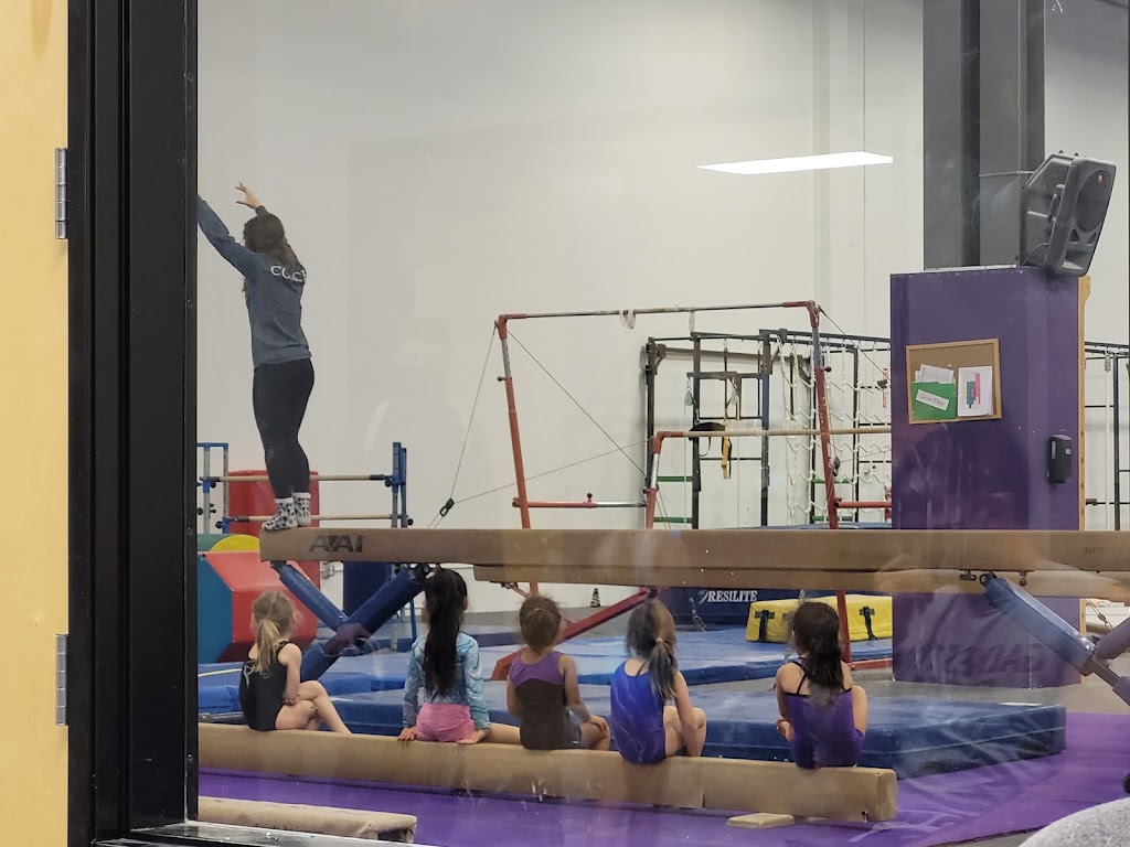 Platinum Gymnastics Academy | 3813A Helios Way #170, Pflugerville, TX 78660, USA | Phone: (512) 251-2776