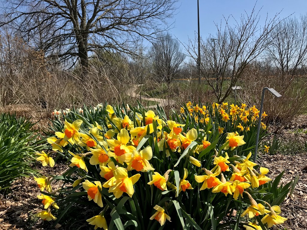 Boone County Arboretum | 9190 Camp Ernst Rd, Union, KY 41091, USA | Phone: (859) 384-4999