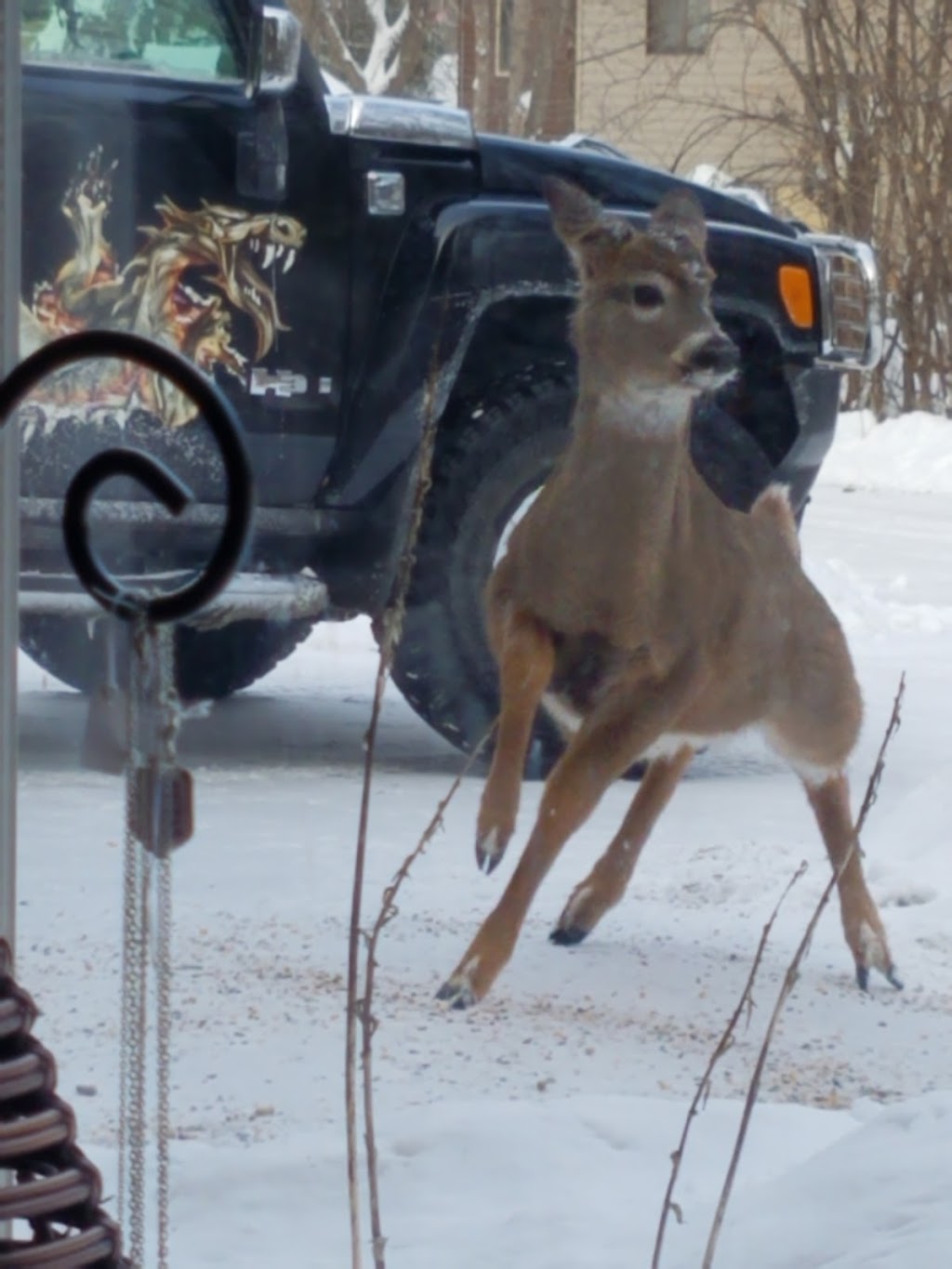 VIBRATIONS OF LIGHT | 78 St Croix Trail S, Lakeland, MN 55043, USA | Phone: (612) 910-4624