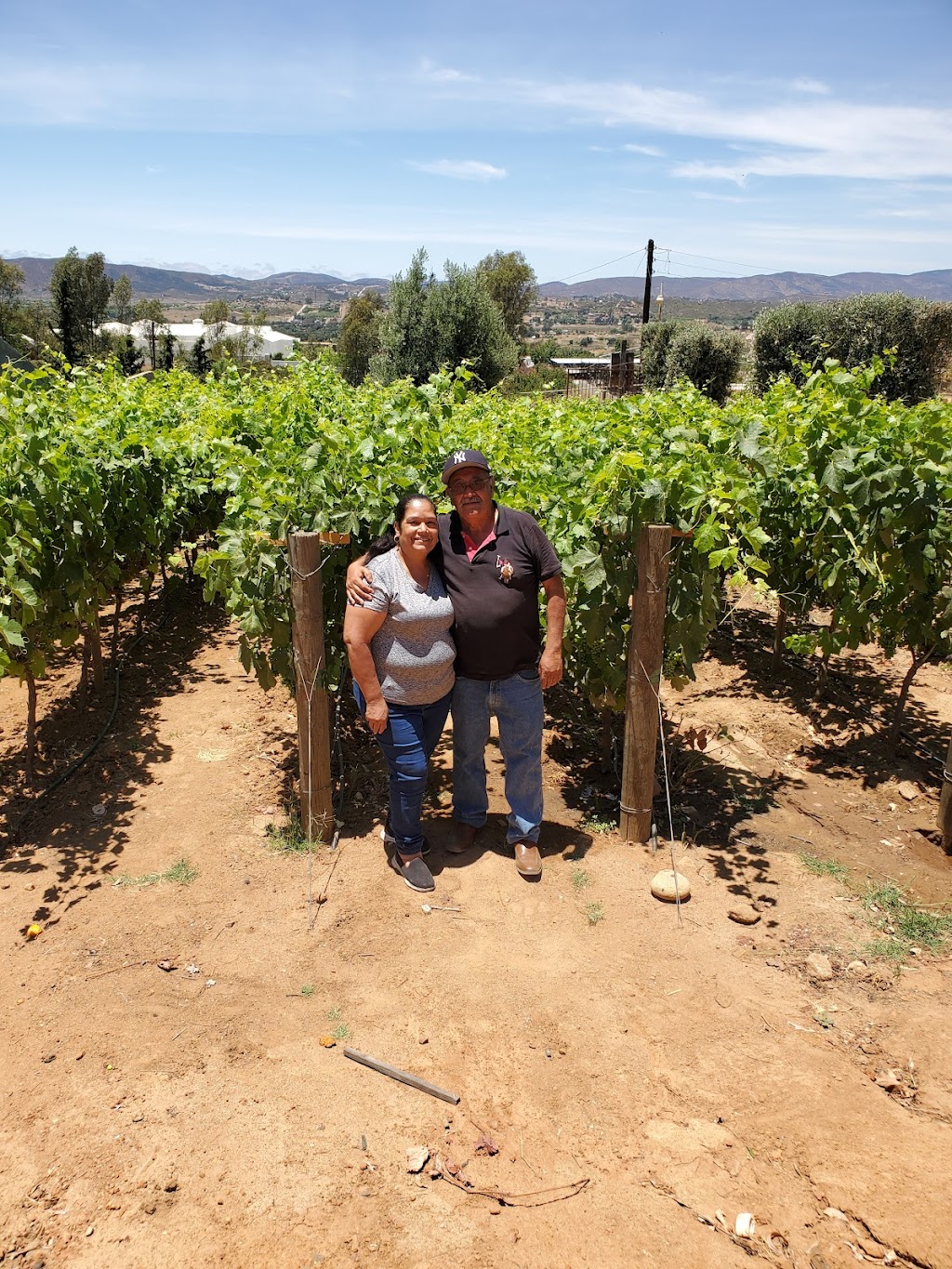 VILLA VERANO | Leandro Valle 500, 22766 Villa de Juárez, B.C., Mexico | Phone: 322 150 5844