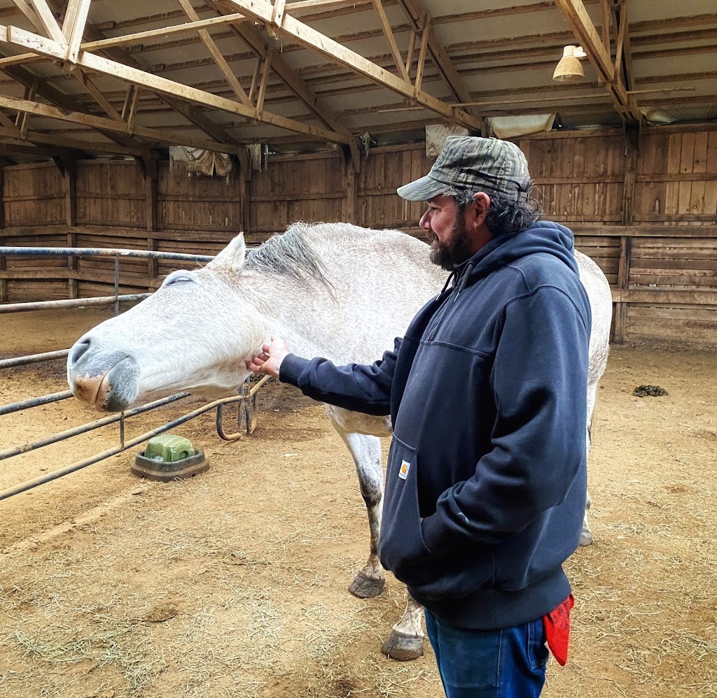 Equine Therapeutic Interaction and Reiki | The Sanctuary at Wild Rose Acres, Morgan Center Rd, Mt Vernon, OH 43050, USA | Phone: (740) 507-7718