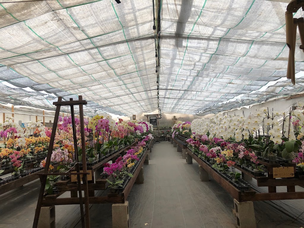 Bay Area Orchids | 12511 San Mateo Rd, Half Moon Bay, CA 94019, USA | Phone: (650) 922-4975