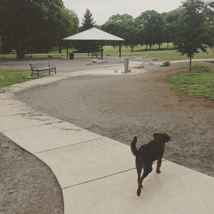 Two Rivers Dog Park | 3150 McGavock Pk, Nashville, TN 37214, USA | Phone: (615) 862-8400