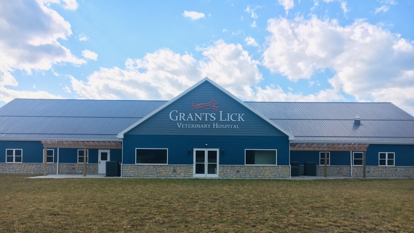Grants Lick Veterinary Hospital | 10307 Alexandria Pike, Alexandria, KY 41001, USA | Phone: (859) 635-4138