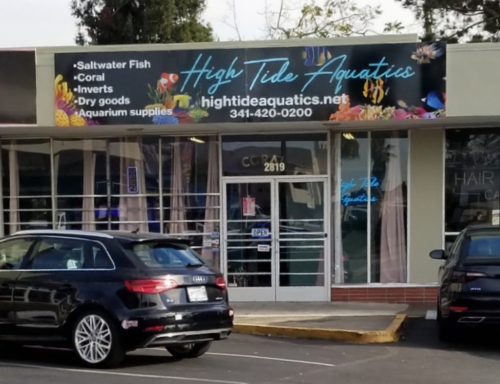 High Tide Aquatics | 2819 MacArthur Blvd, Oakland, CA 94602, USA | Phone: (341) 420-0200