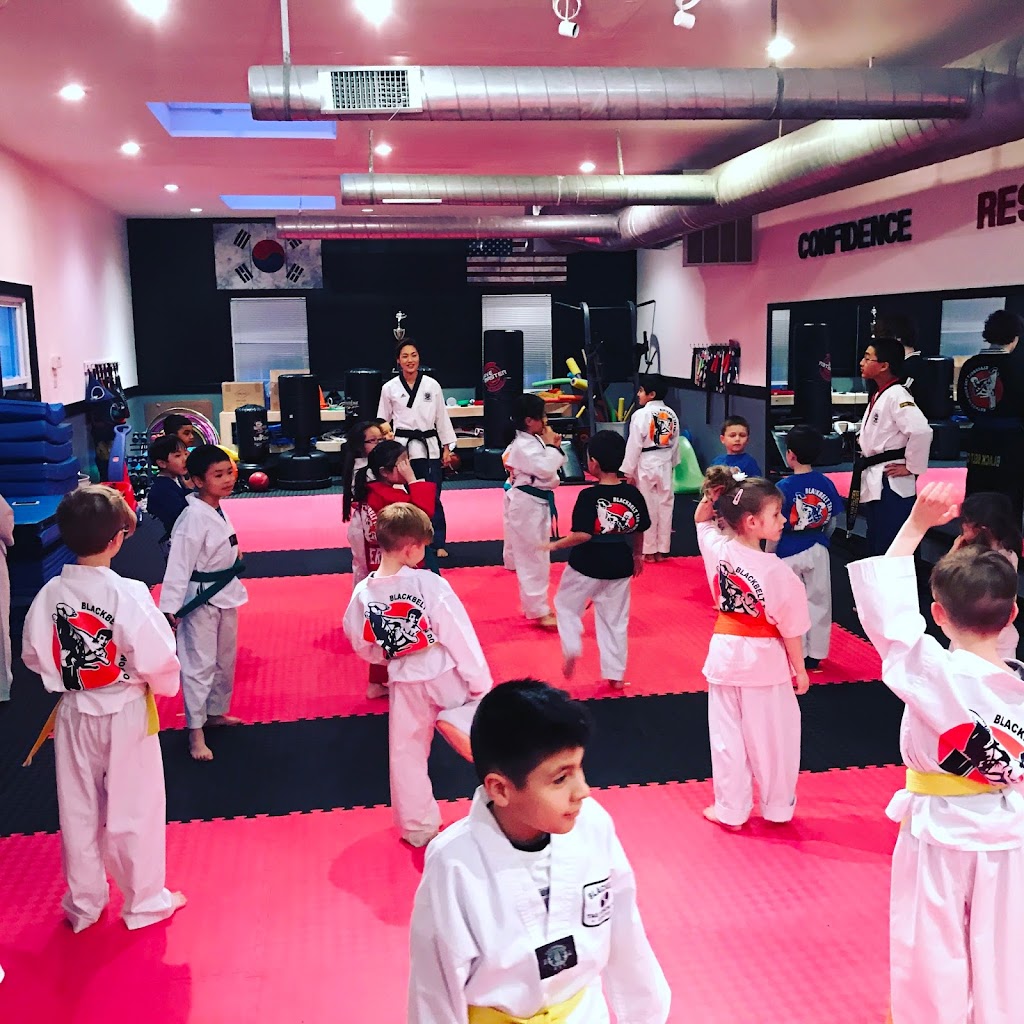 Ahn’s Taekwondo | 350 Lexington Ave, Mt Kisco, NY 10549, USA | Phone: (914) 830-5197