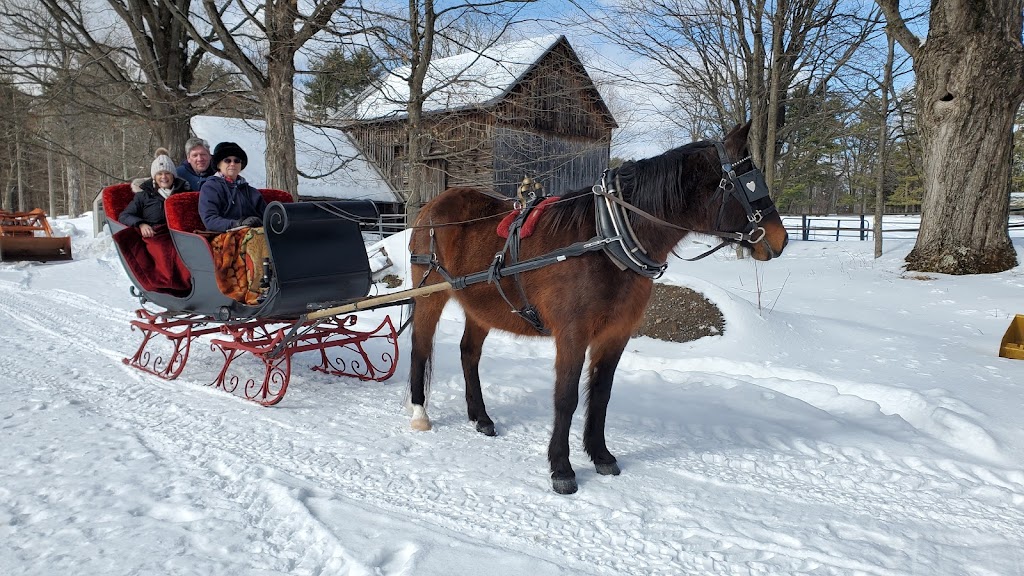 Loon Meadow Farm LLC | 695 Locust Grove Rd, Greenfield Center, NY 12833, USA | Phone: (518) 893-6116