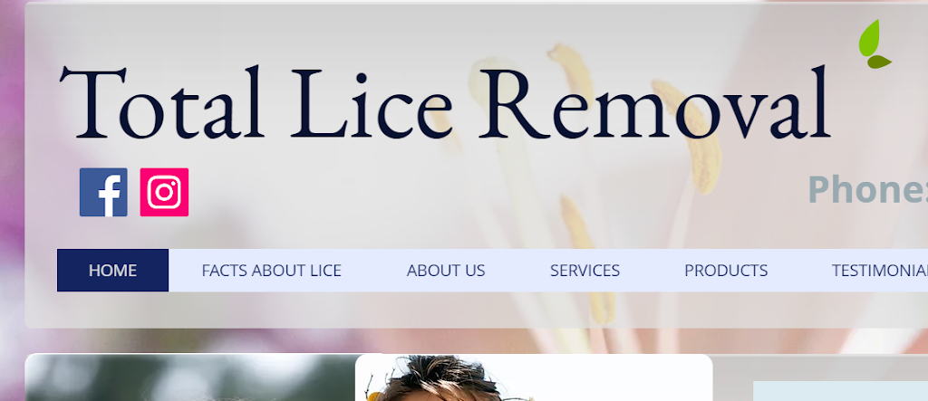 Total Lice Removal #2 | 7817 N Dixie Dr, Dayton, OH 45414, USA | Phone: (937) 602-7530