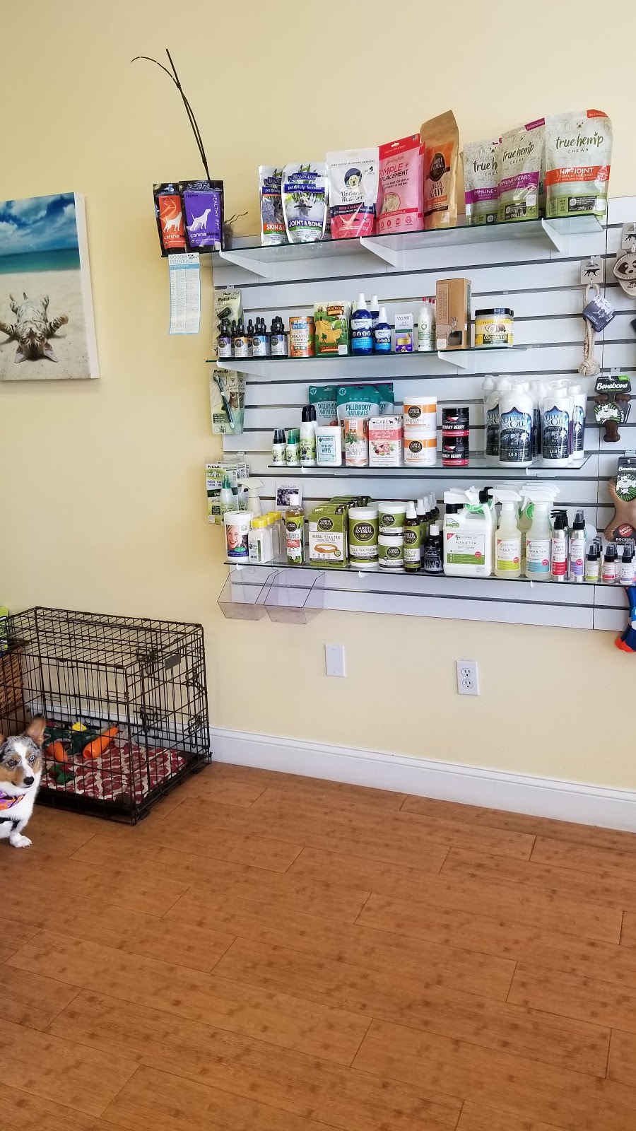 SaltyPaws Healthy Pet Market | 630-12 Atlantic Blvd Space 630 - 12, Neptune Beach, FL 32266, USA | Phone: (904) 372-9433