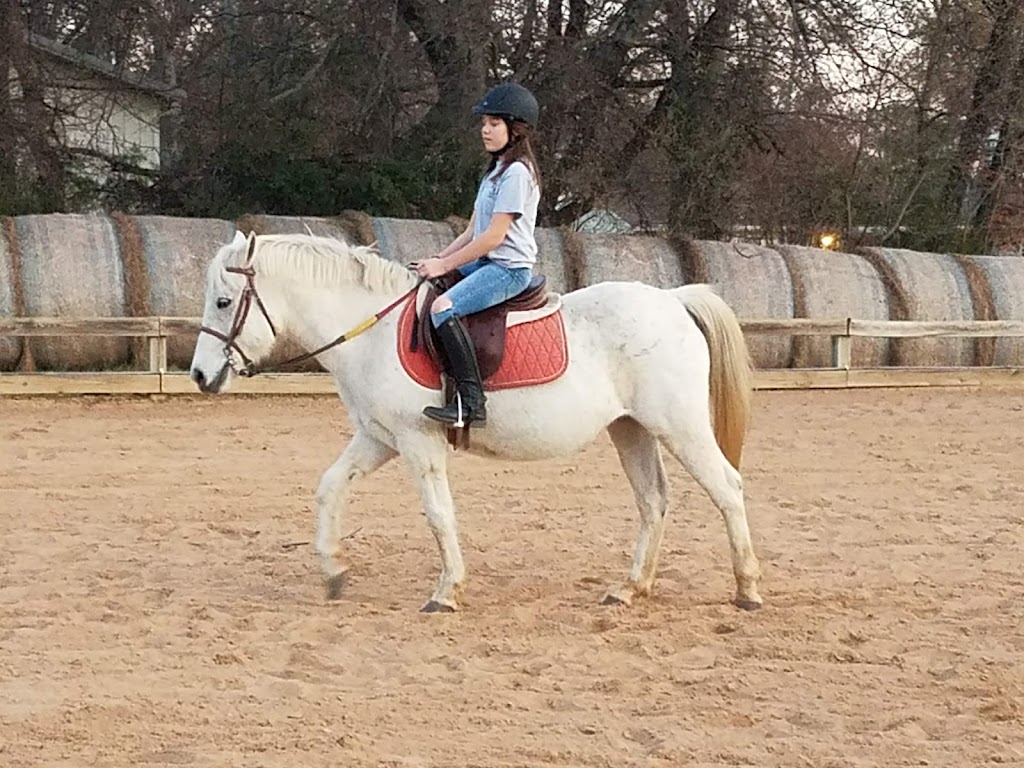 SaddleBack Equestrian | 22650 East 71st St S, Broken Arrow, OK 74014 | Phone: (918) 408-6446