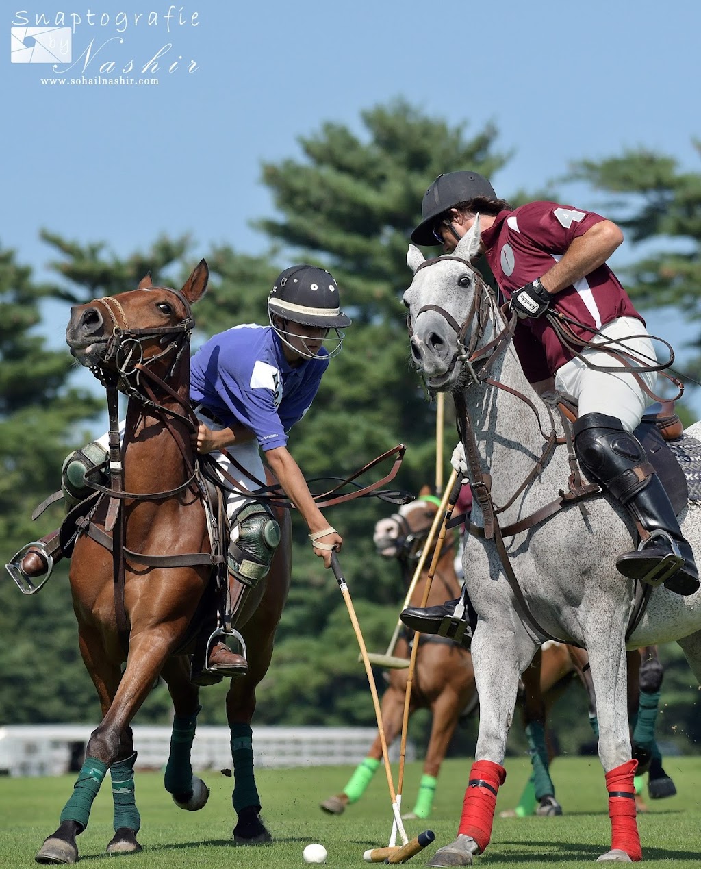 Bethpage Polo at the Park | Plainview Road &, Manchester Dr, Bethpage, NY 11714, USA | Phone: (516) 500-7656
