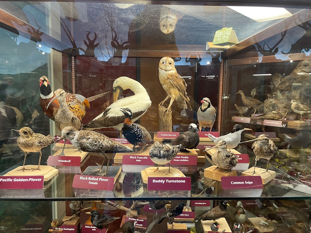 Museum of Natural History | 55-220 Kulanui St, Laie, HI 96762, USA | Phone: (808) 675-3816