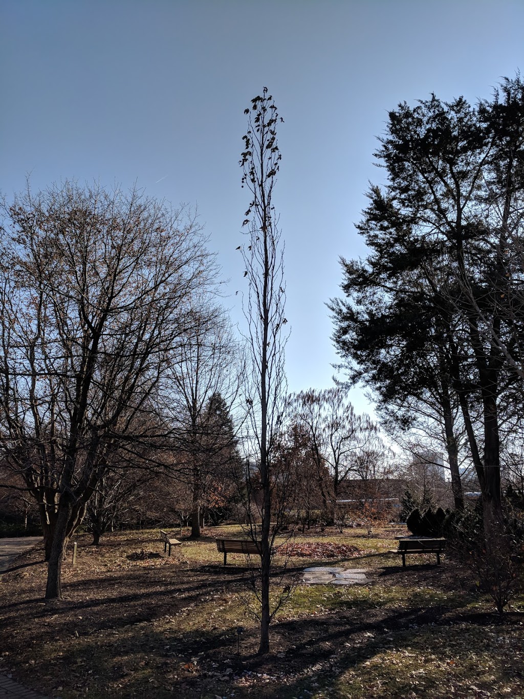 Chadwick Arboretum North | Encore Solar House, 2235 Fred Taylor Dr, Columbus, OH 43210, USA | Phone: (614) 688-3479