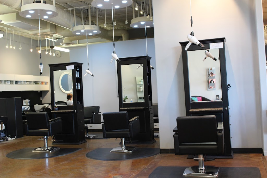 Tame Studio | 6501 E Cave Creek Rd #2, Cave Creek, AZ 85331, USA | Phone: (480) 595-1700