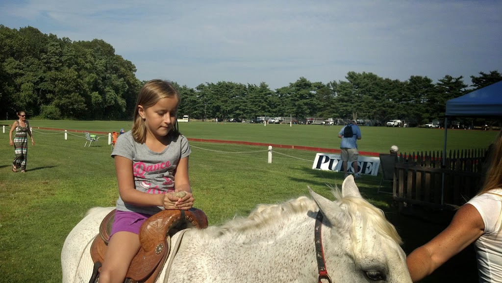 Bethpage Polo at the Park | Plainview Road &, Manchester Dr, Bethpage, NY 11714, USA | Phone: (516) 500-7656