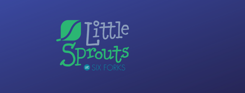 Little Sprouts at Six Forks Preschool | 9121 Six Forks Rd, Raleigh, NC 27615, USA | Phone: (919) 342-6075