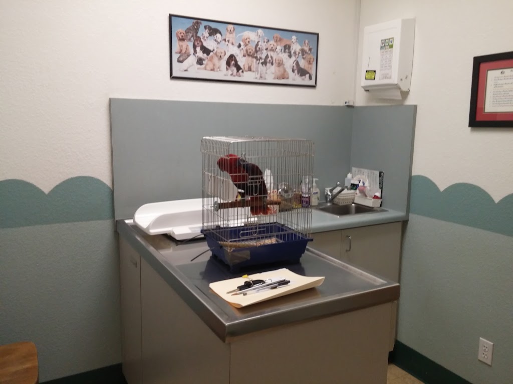 Acorn Veterinary Clinic | 1340 E Covell Blvd # 101, Davis, CA 95616, USA | Phone: (530) 753-7580