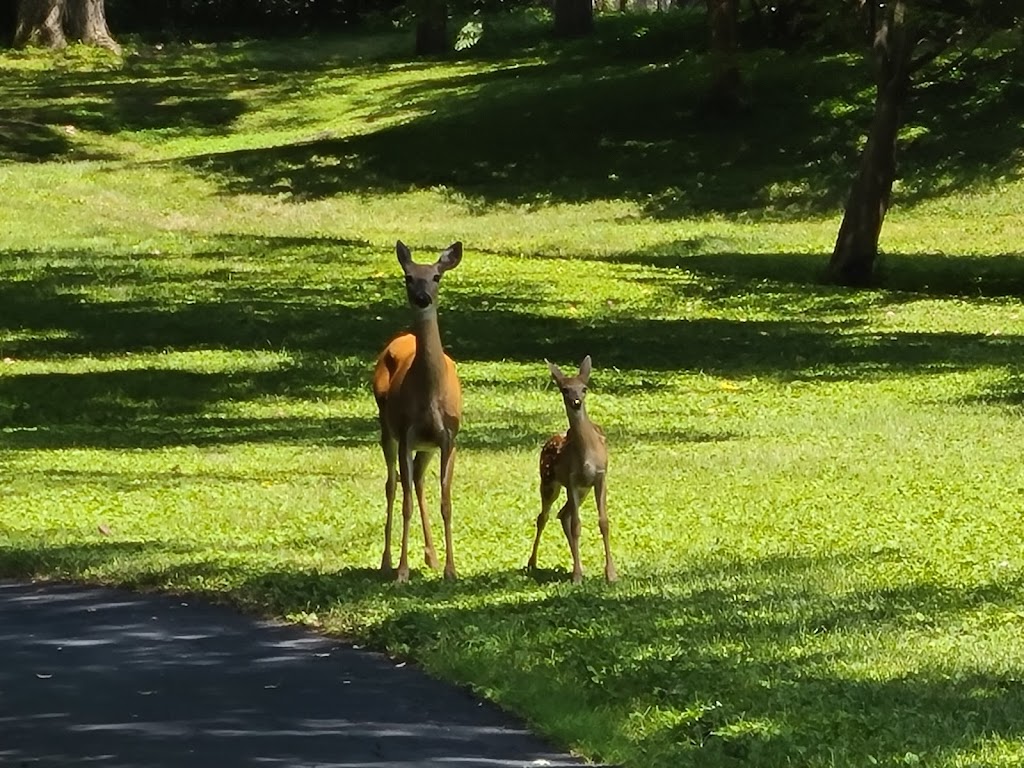 Eugene H. Hagel Arboretum | 61st Avenue North and, Major Ave N, Brooklyn Center, MN 55430, USA | Phone: (763) 561-2760