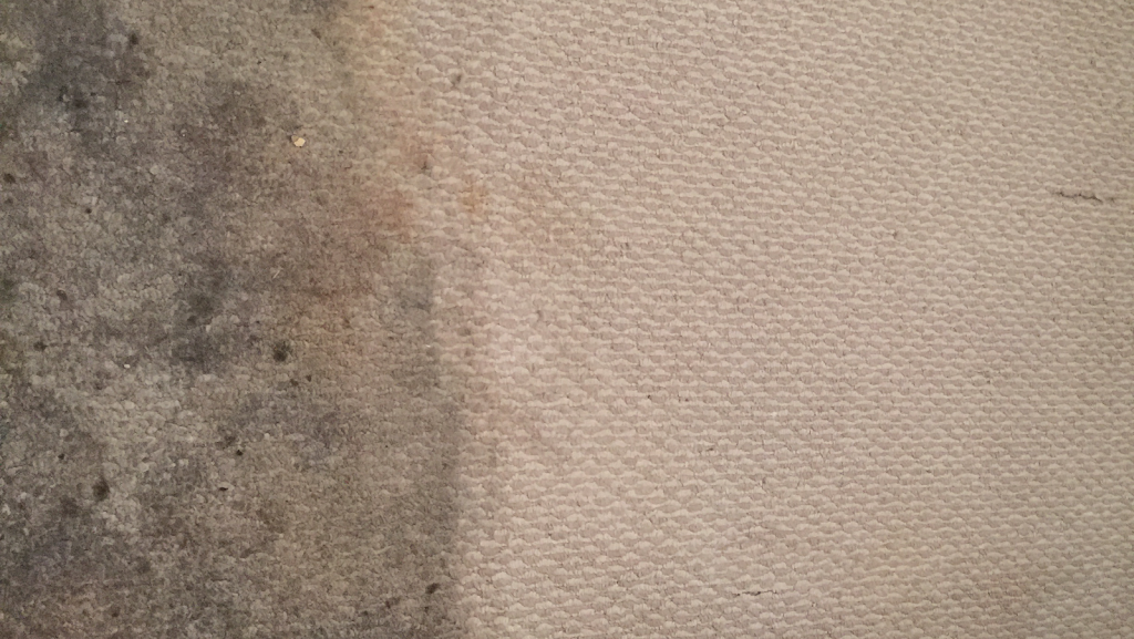 Pristine Steam Carpet Cleaning | 2140 Love Rd, Grand Island, NY 14072, USA | Phone: (716) 867-1143
