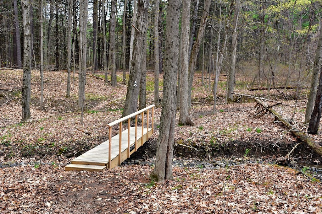 Holt Preserve | Upper Copeland Hill Rd, Selkirk, NY 12158, USA | Phone: (518) 436-6346
