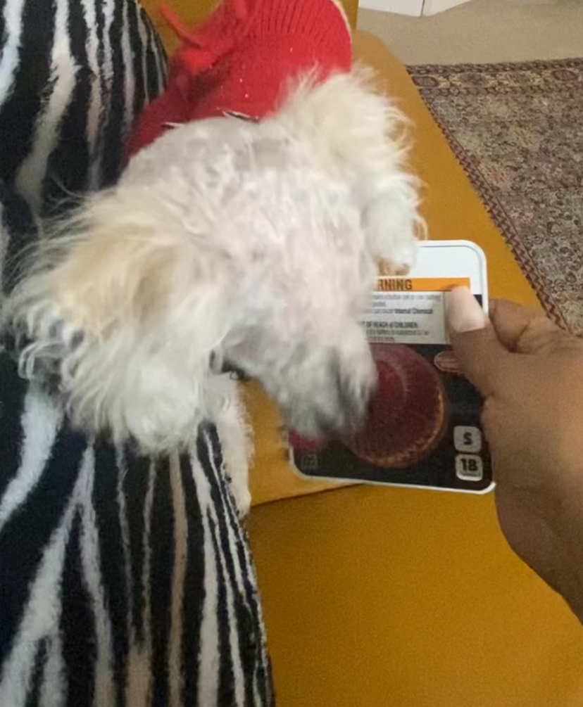 Pet Qwerks, Inc. | 9 Studebaker, Irvine, CA 92618, USA | Phone: (949) 916-3733